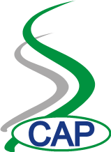 Southern Center for Agriculture and Rural Policy and Strategy (SCAP-IPSARD)