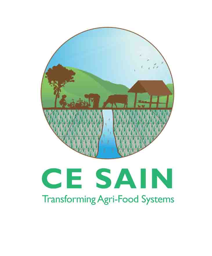 Center of Excellence on Sustainable Agricultural Intensification and Nutrition (CE SAIN)