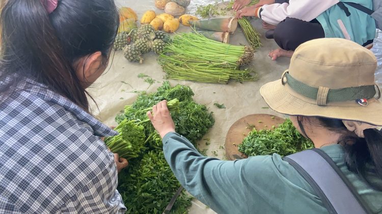 Agroecology Model Learning for Agricultural Students in Battambang, Cambodia