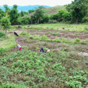 vlcsnap-2025-08-20-12h14m44s761