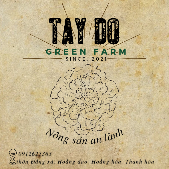 Tay Do Green Farm