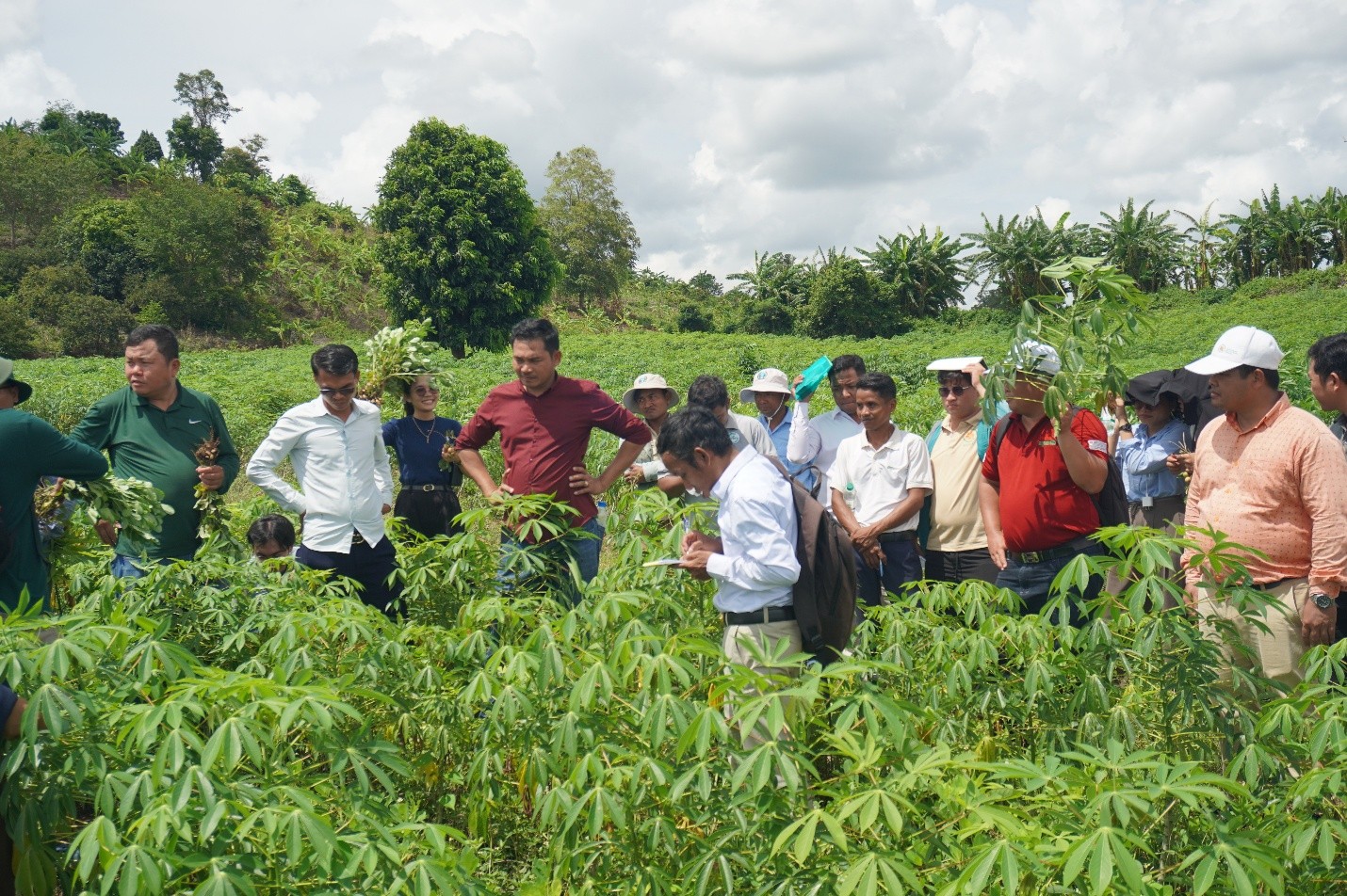 Scaling Up Agroecology and Carbon Finance in Cambodia