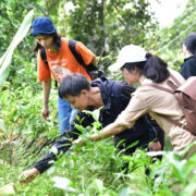 ALiSEA Enhances Agroecology Knowledge Exchange in Vietnam