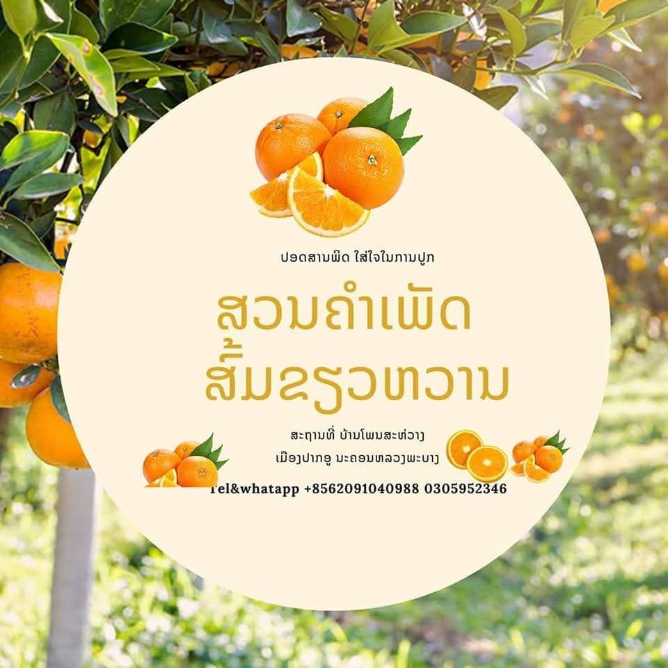Khamphet Garden (Mimee farm)
