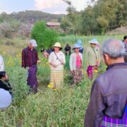 Seed Saving Exchange at Taung Chun Myay Farm
