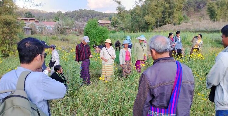 Seed Saving Exchange at Taung Chun Myay Farm