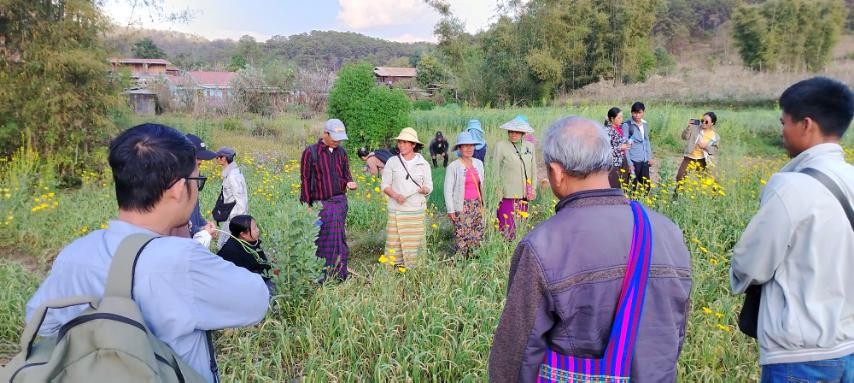 Seed Saving Exchange at Taung Chun Myay Farm