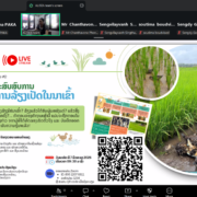 Thematic Webinar: Rice-Duck Farming – Sharing Experience