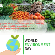 Today, 5 June, is World Environment Day