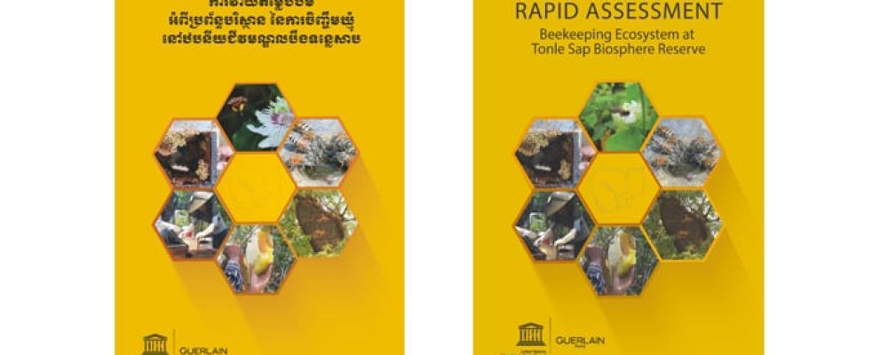 Rapid Assessment Report to promote Sustainable Beekeeping in Cambodia