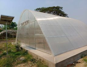 Sola-Dome Brings New Hope to Thongmung Organic Cooperative
