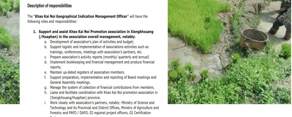 Khao Kai Noi Geographical Indication Management Officer – Gret Lao PDR