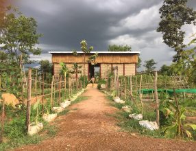 Green Shoots Foundation & CIDO Agritech Centre,  North West Cambodia