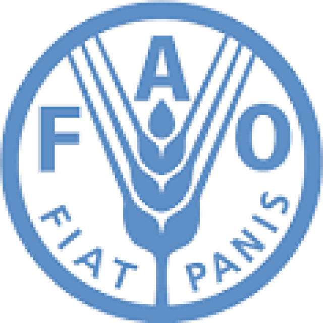 Vacancy Myanmar – FAO Policy Officer P4 – EU/FAO Programme on sustainable agriculture, food security and nutrition