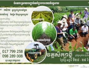 Training in Cambodia on Conservation Agriculture, 28-29 September 2020