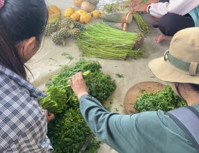 Agroecology Model Learning for Agricultural Students in Battambang, Cambodia