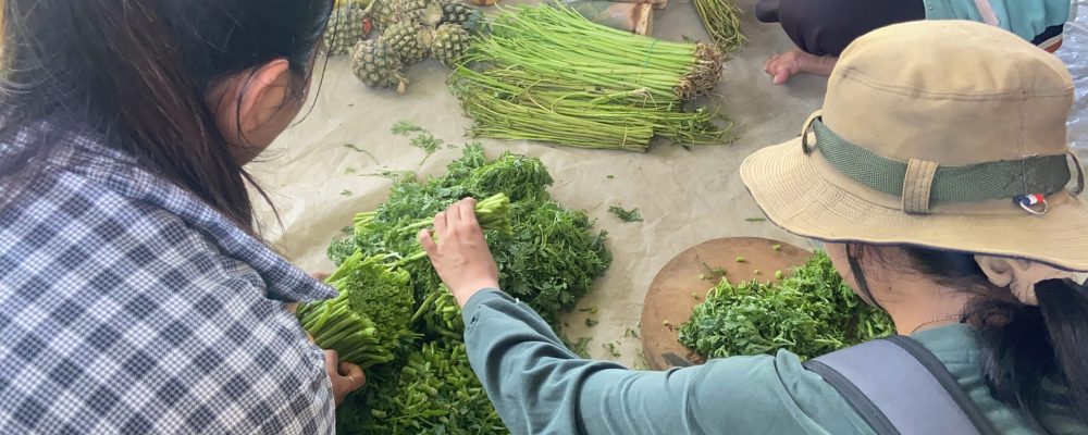 Agroecology Model Learning for Agricultural Students in Battambang, Cambodia