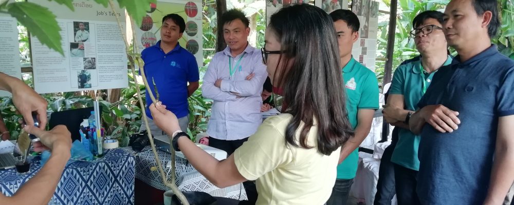 TOT training of permaculture, February 18 – 23, 2019, Laungprabang Province, Lao PDR