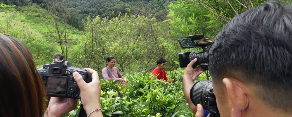 Journalists explored agroecology in Xiengkhouang, Laos