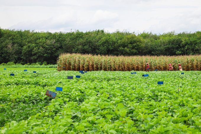 Innovation for Sustainable Agriculture (ISA)