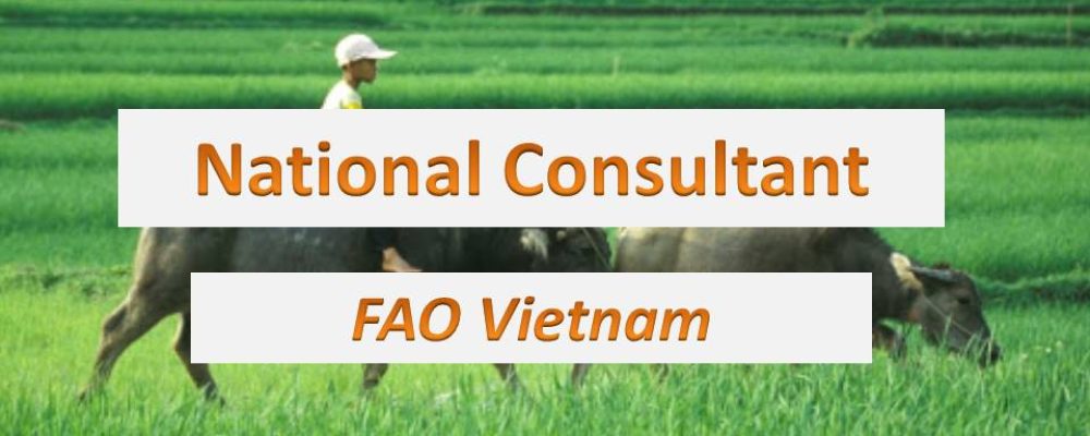 National Consultant, FAO Vietnam