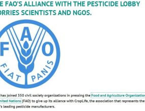 THE FAO’S ALLIANCE WITH THE PESTICIDE LOBBY WORRIES SCIENTISTS AND NGOS.
