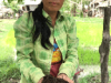 Vegetable growing with agroecological practices, Cambodia