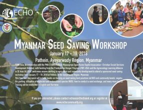 Myanmar seed saving workshop, January 17 – 18, 2018, Pathein, Ayeyarwady Region