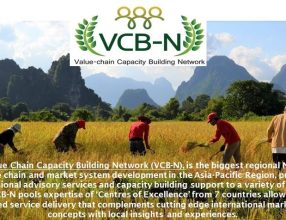 Proceedings of VCB-N Webinar 1: “The impact of the Covid-19 pandemic on agricultural value chains – What we can do to mitigate the impact!”