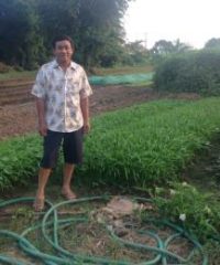 Vientiane Organic Vegetable Producer Group (1)