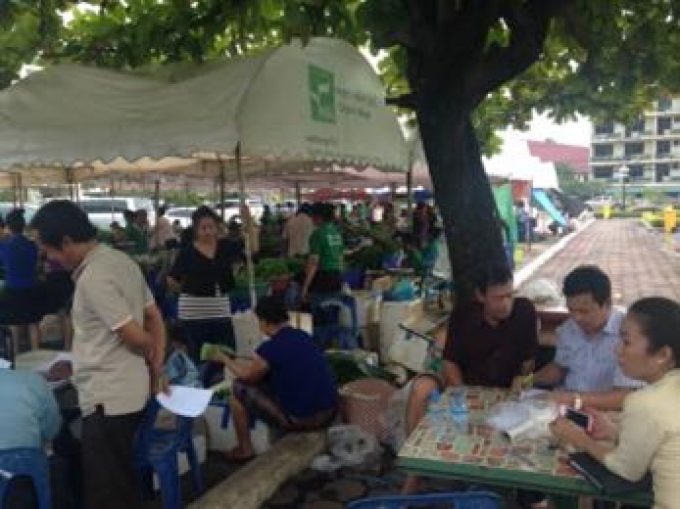 Vientiane Organic Vegetable Producer Group (2)