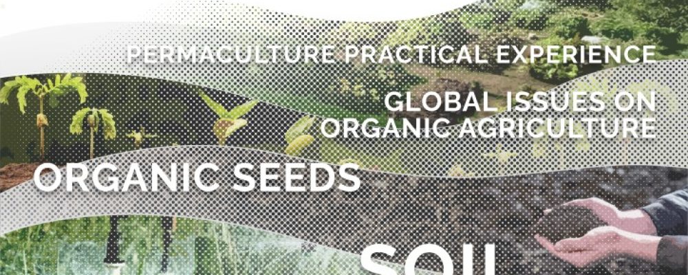Young Organic Farmers 2021: Organic Agriculture Management Training
