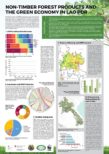 Poster - Non-Timber Forest Products in the Green Economy of Lao PDR
