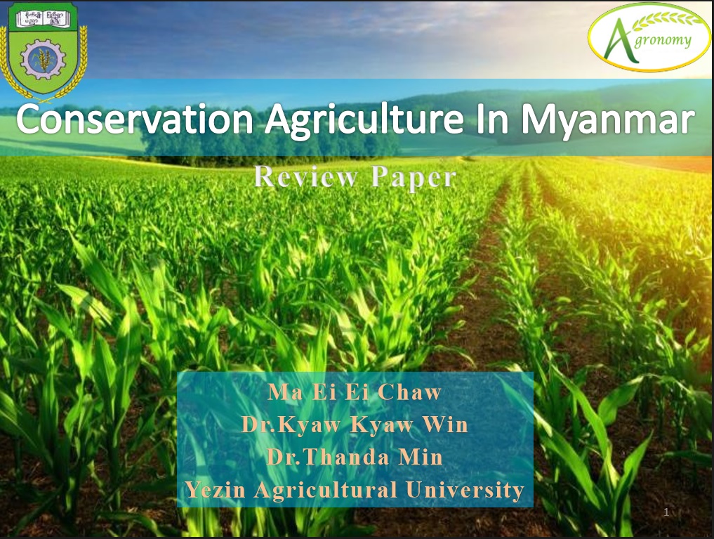 agriculture in myanmar essay
