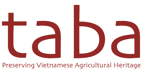 Northwest Investment And Development Company Taba Alisea