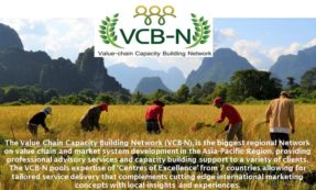 VCB-N Webinar 3: "The impact of the COVID-19 pandemic on agricultural value chains - What we can do to mitigate the impact on service delivery to different actors in the value chain"